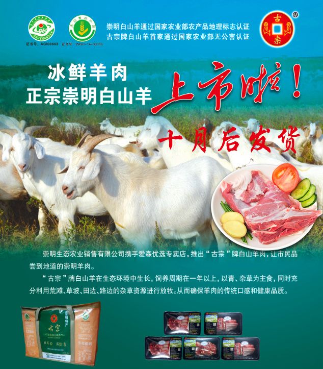 轮播图